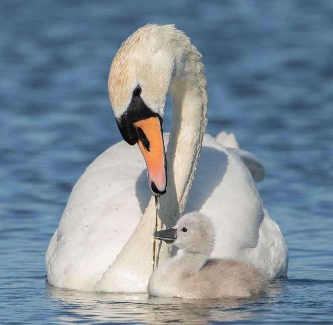 Welkom in kraamkamer Moeder natuur