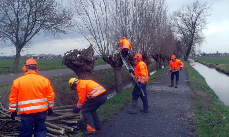 Knotgroep op zoek naar versterking