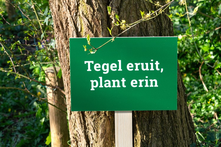 Sliedrecht doet weer mee aan het NK Tegelwippen 2026