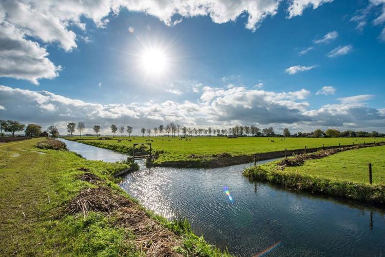 Waterschap Rivierenland nodigt inwoners en organisaties uit: denk mee over waterbeleid