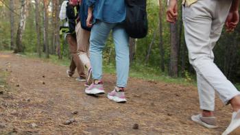 Wandeling naar de 5000 jaar oude Veeneiken in het Alblasserbos
