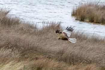 Foto-excursie naar de Donkse Laagten
