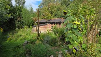 Wandel mee en ontdek de eerste tekenen van de herfst in de heemtuin