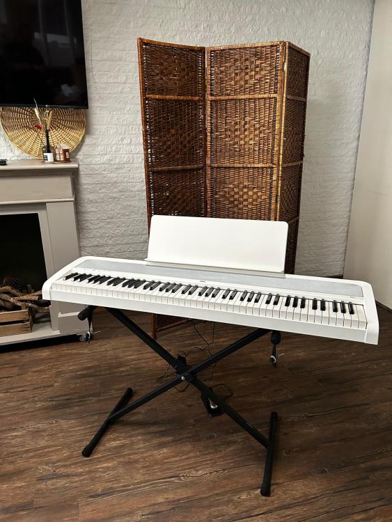 Stichting Vrienden van Waerthove schenkt keyboard