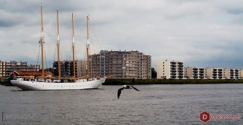 Album afbeelding 7