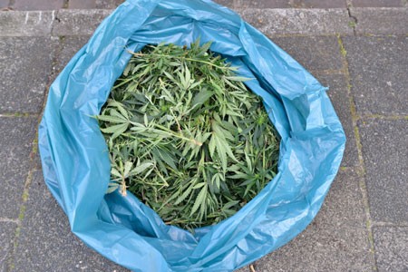 Sliedrecht past 1 grams maatregel coffeeshop aan
