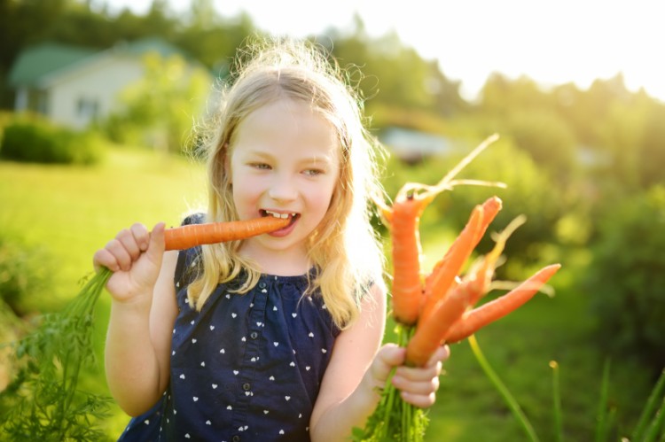 ‘De schooltuin is een essentieel onderdeel van de school’